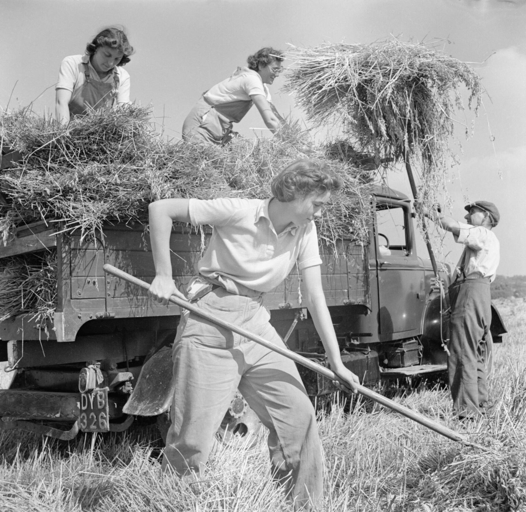 Land Girls: Women Who Kept Britain Fed in WWII