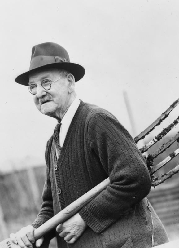 Dig for Victory: Britain's Gardens as a War Weapon