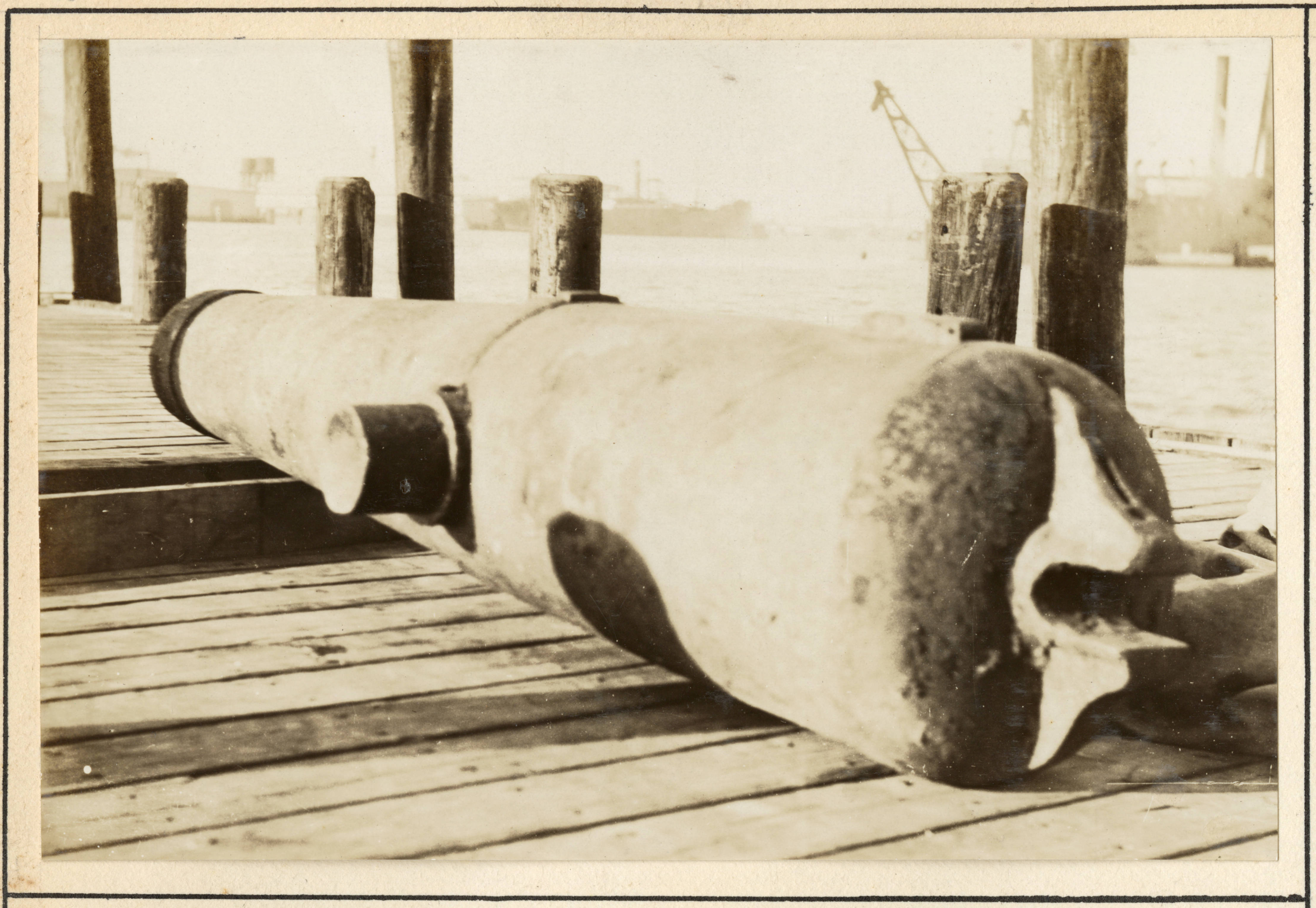 233 Civil War cannon - USACE-p15141coll5-8064.jpeg